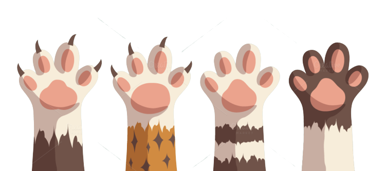 paws_pic